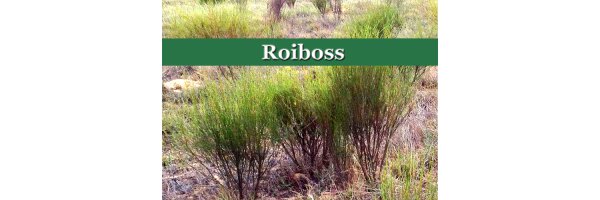 • Rooibostee (Rotbusch) - koffeinfreies Aufgussgetränk