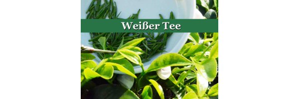 • Weißer Tee - der Kaisertee - wertvoll und aromatisch