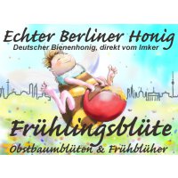 Herzberger Honig Fr&uuml;hlingsbl&uuml;te