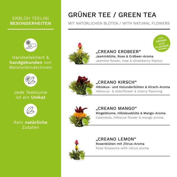 "Grüner Tee Fruity Flavor" Teelini